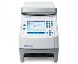 ДНК-амплификатор Mastercycler nexus, 96х0,2 мл. Eppendorf