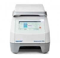 ДНК-амплификатор Mastercycler X50s, 96х0,2 мл. Eppendorf