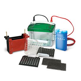 Система для блоттинга Mini Trans-Blot Electrophoretic Transfer Cell, площадь 100х75 мм, с камерой и крышкой. Bio-Rad