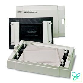 Система для блоттинга, Trans-Blot SD Semy-Dry Transfer Cell. Bio-Rad