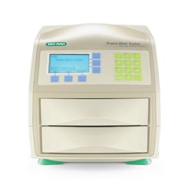 Система для блоттинга Trans-Blot Turbo, электроблоттинг, на две кассеты, со стартовым набором. Bio-Rad