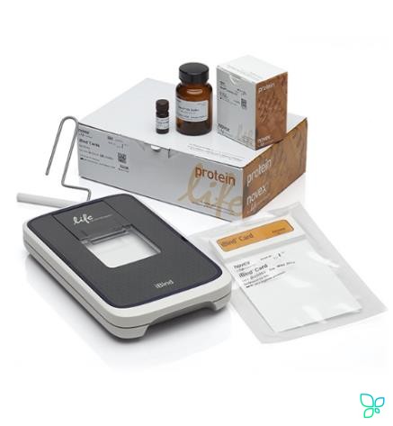 Система вестерн-блоттинга iBind для обработки мини-мембран. Thermo Fisher Scientific