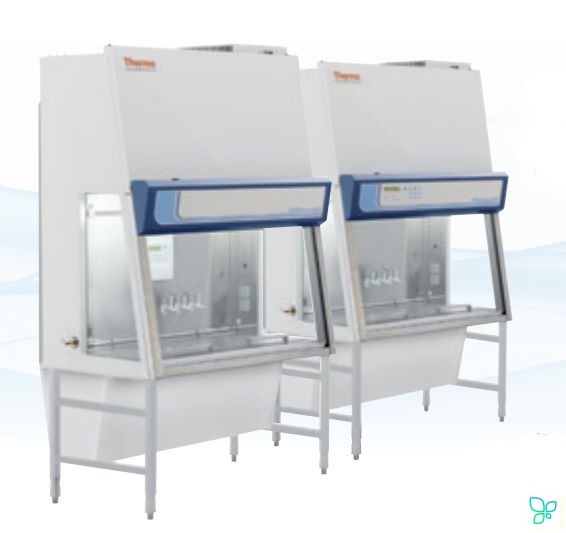 Ламинарный шкаф, класс II, ширина рабочей поверхности 180 см, Maxisafe 2020 1.8. Thermo Fisher Scientific