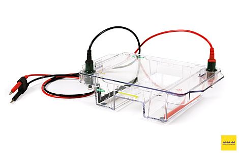 Электрофорезная горизонтальна камера Wide Mini-Sub Cell GT, 15х10 см, 15 и 20 лунок, 1,5 мм, заливочный столик, Bio-Rad
