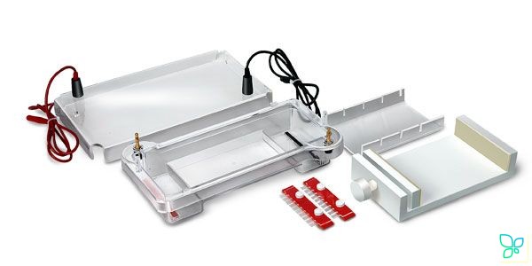 Электрофорезная горизонтальная камера S-1 (SE-1), 7,6х12,5 см, 10 лунок, 1 мм, заливочный столик, Биоклон