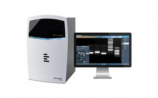 Гельдокументирующая система Bio-Print-CX4 Edge, моторизованный зум, трансиллюминатор 20х20 см, 312 нм, Vilber