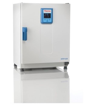 Термостат 66 л, до +105 °С, принудительная вентиляция, IMH60 Advanced Protocol, Thermo