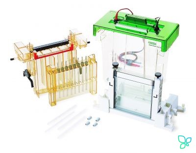 Аппарат для ИЭФ Protean II xi 2D Cell, 20 см, распорки 1 мм, Bio-Rad