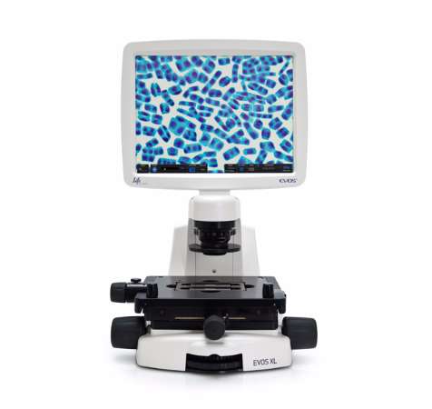 Система визуализации Evos XL, механический столик, до 5 объективов, Thermo Fisher Scientific