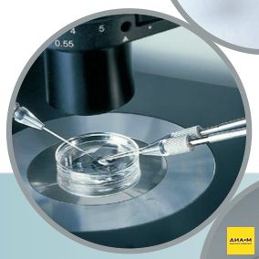 Держатель TwinTip-Holder для независимого контроля 2 капилляров на TransferMan NK2, Eppendorf