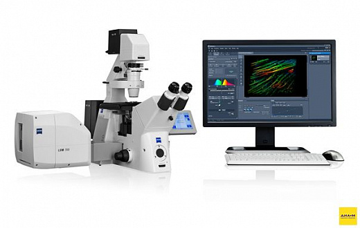 Микроскоп конфокальный LSM 700, лазерный сканирующий, Zeiss