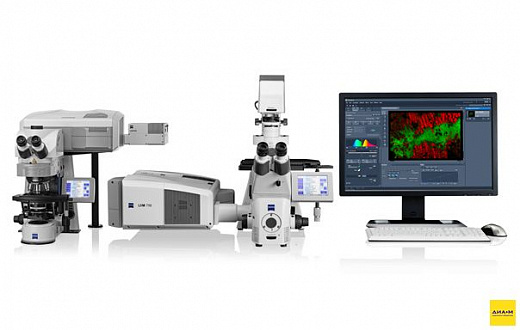 Микроскоп конфокальный LSM 710, лазерный сканирующий, Zeiss
