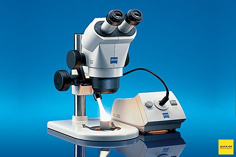 Микроскоп стерео, до 240 х, по схеме Грену, Stemi 2000, Zeiss
