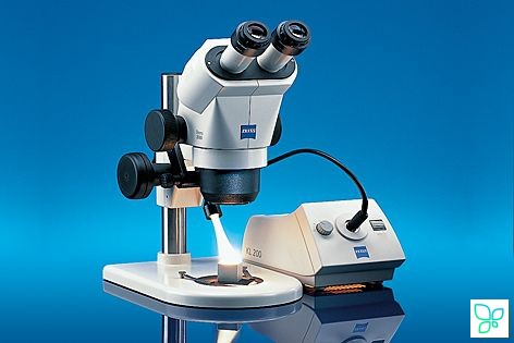 Микроскоп стерео, до 240х, по схеме Грену, Stemi 2000, Zeiss