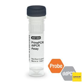 Набор AKT1 E17K мутация PrimePCR ddPCR, 200 реакций, Bio-Rad