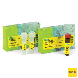 Набор ddPCR Library Quantification Kit for Illumina TruSeq, 200х20 мкл, Bio-Rad