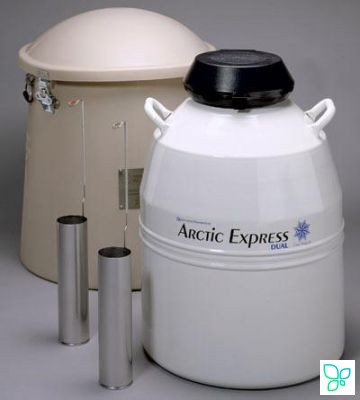 Сосуд Дьюара универсальный Dual Arctic Express 19, 18,5 л, d горла 56 мм, 6 канистр, Thermo