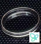 Чашки культуральные, d 100 мм, коллаген I, 10 шт./уп, 40 шт./кор, BD