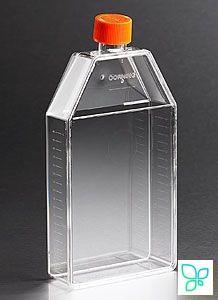 Флаконы культуральные 150 см², PS, скош.горло,  вент. крыш, прямоуг. 5 шт/уп, 50шт/кор, Corning