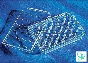 Планшеты культуральные 24-лун., плоскодонные, стерил.,инд.упак.,1 шт/уп,, Corning