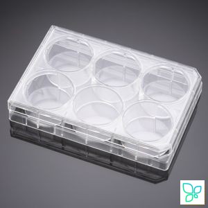 Планшеты культуральные 6-лун., плоскодонные, пов-ть Carboxyl, 5 шт./уп., 50 шт./кор, BD