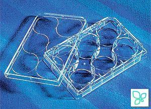 Планшеты культуральные 6-лун., плоскодонные, стерил., 5 шт/уп, 100 шт/кор, Corning