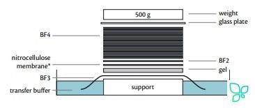 Фильтры бумажные для блоттинга, тип 1600, 150х150 мм, 250 г/м², 75 мм/10 мин, 0,50 мм, 200 шт/уп, Ahlstrom (Munktell)