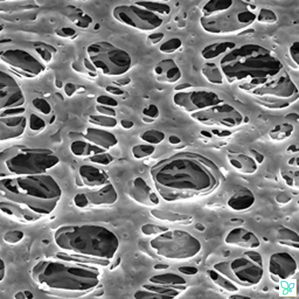 Фильтр, Экспресс, d пор 0,22 мкм, d мембраны 13 мм, 100 шт., Merсk (Millipore)