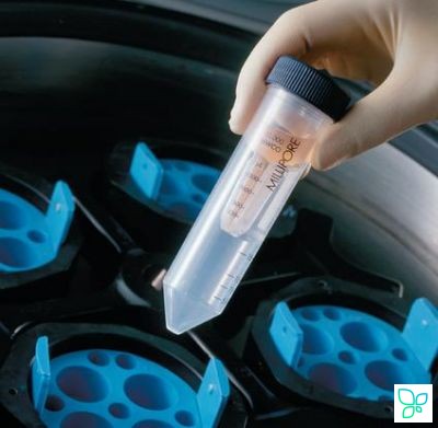 Концентратор центрифужный Amicon Ultra-15, 10 кДа, 24 шт., Merсk (Millipore)