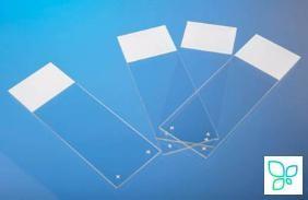 Стекло предметное, 25×75×1 мм, шлиф. кр. 90°, с адгезивным покрытием Superfrost Plus, белое поле для маркировки, 72 шт/уп., Thermo Fisher Scientific