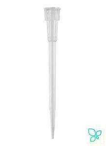 Наконечники до 20 мкл (от 0,5 мкл), бесцветные, 1000 шт./уп., Axygen