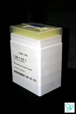Наконечники до 200 мкл (от 1 мкл), с фаской, желтые, 5 кассет x96 шт., Axygen