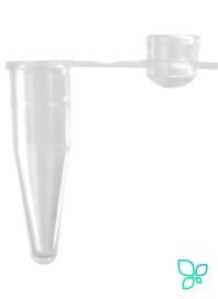 Пробирки для ПЦР, 0.2 мл, Maxymum Recovery, выпуклая крышка, бесцветные, полипропилен, 1000 шт/уп., Axygen