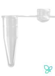 Пробирки для ПЦР, 0.2 мл, выпуклая крышка, фиолетовые, полипропилен, 1000 шт/уп, 10000 шт/кор., Axygen