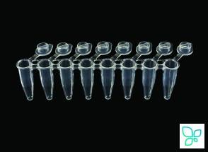 Пробирки для ПЦР в стрипах, 0.2 мл, 1х8, с плоскими крышками-колпачками, низкий профиль, бесцветные, полипропилен, 120 шт./уп., SSI