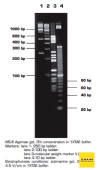 Агароза MS-8, Molecular Screening, повышенная четкость разделения фрагментов менее 1200 п.н., низкий EEO
