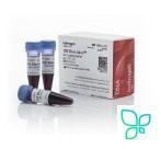 Буфер загрузочный BlueJuice Gel Loading Buffer, 10X. Thermo Fisher Scientific