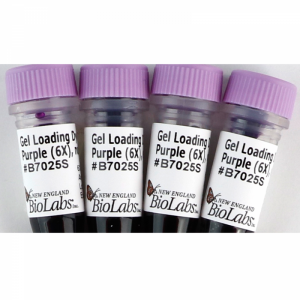 Краситель для нанесения на гель без SDS, фиолетовый, 6Х. New England Biolabs
