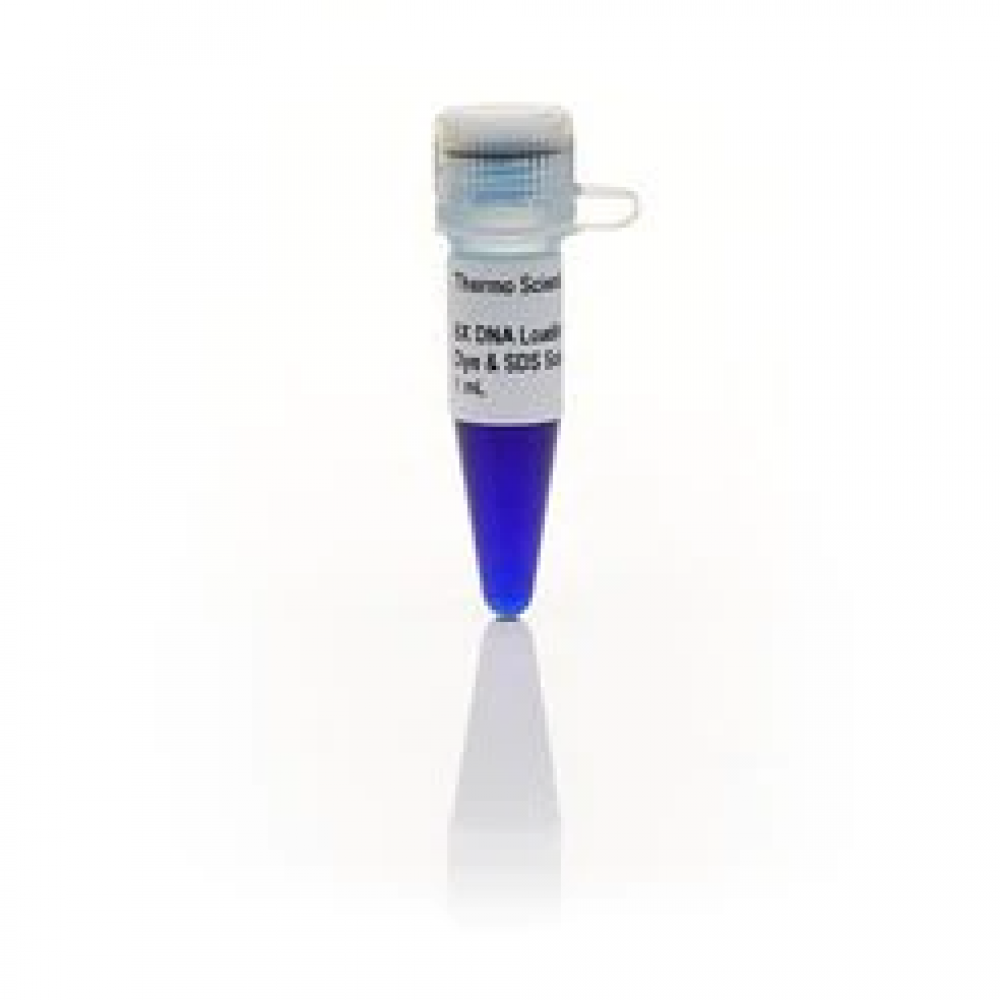 Краситель для нанесения на гель DNA Loading Dye & SDS Solution, 6X. Thermo Fisher Scientific