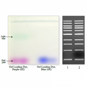 Краситель для нанесения на гель, фиолетовый, 6Х. New England Biolabs