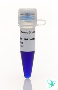 Краситель для нанесения на гель RNA Gel Loading Dye, 2Х. Thermo Fisher Scientific