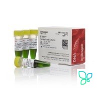 Краситель для нанесения на гель TriTrack DNA Loading Dye, 6X. Thermo Fisher Scientific