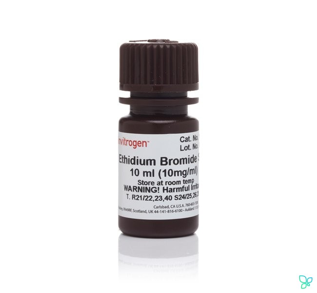 Краситель UltraPure Ethidium Bromide. Thermo Fisher Scientific