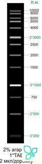 Маркер длин ДНК, 13 фрагментов, готовый к применению, 0,1 мг/мл. Диаэм