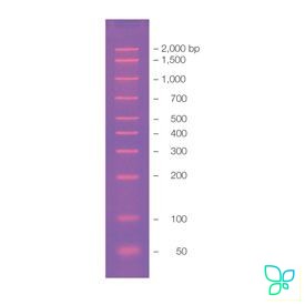 Маркер длин ДНК AmpliSize, 50-2000 п.н. Bio-Rad