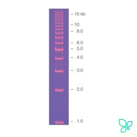 Маркер длин ДНК EZ Load 1 kb, 1-15 тыс. п.н., 100 нанесений. Bio-Rad