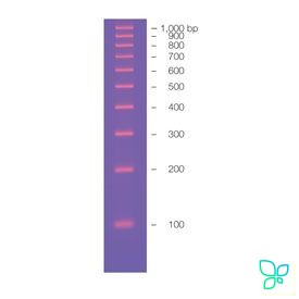 Маркер длин ДНК EZ Load 100 bp, 100-1000 п.н., 100 нанесений. Bio-Rad