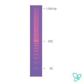 Маркер длин ДНК EZ Load 20 bp, 20-1000 п.н., 100 нанесений. Bio-Rad