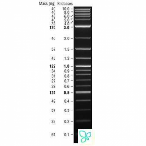Маркер длин ДНК Quick-Load 2-Log DNA Ladder, 100-10000 п.н. New England Biolabs