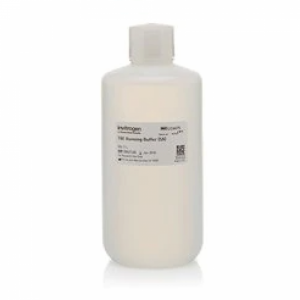 TBE-буфер, Novex, электродный, 5Х. Thermo Fisher Scientific